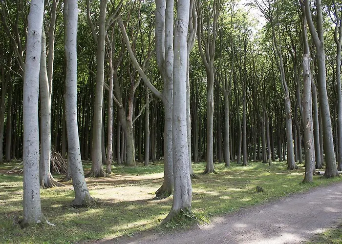 Lägenhet Meerbrise